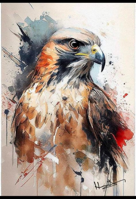 Abstract Wildlife Art, Hawk Watercolor Painting, Hawk Painting Acrylic, Falcon Watercolor, Hawk Painting, Hawk Art, Falcon Hawk, Beautiful Butterfly Pictures, Butterfly Pictures