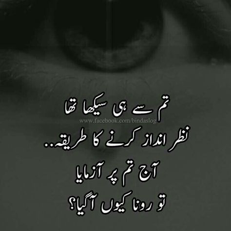 Black Poetry, Happy Love Quotes, Love Quotes In Urdu, Urdu Funny Quotes, Urdu Funny Poetry, Urdu Love Words, Xbox Pc, Poetry Quotes In Urdu, Urdu Poetry Romantic