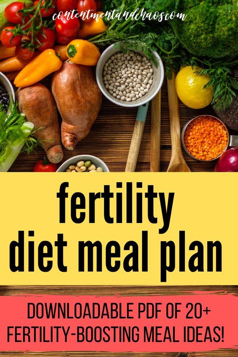 A PDF downloadable and printable fertility diet meal plan - list of meal ideas and recipes to boost fertility. TTC tips. #ttc #ttctips #fertilitydiet #fertility Fertility Meals Recipes, Implantation Foods, Fertility Diet Meal Plan, Recipes For Fertility, Fertility Meal Plan, List Of Meal Ideas, Ttc Diet, Fertility Diet Recipes, Fertility Diet Plan