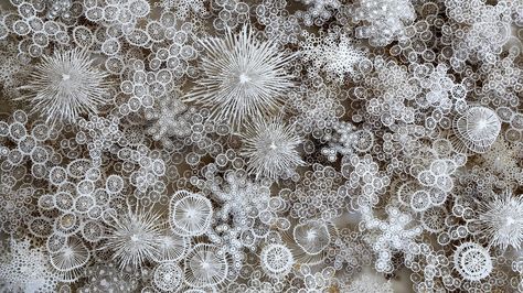 Artist Rogan Brown peers into the invisible worlds of microbes, then uses their forms as the inspiration for large paper sculptures that seem at once familiar and profoundly alien. Under Microscope, Natural Architecture, Laser Cut Paper, Petri Dish, Things Under A Microscope, Magic Circle, Kirigami, Paper Sculpture, Brown Paper