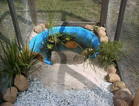 Tartaruga Habitat, Aquatic Turtle Habitat, Turtle Cage, Turtle Enclosure, Big Tortoise, Turtle Care, Turtle Homes, Tortoise House, Water Turtle