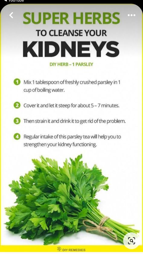 Kidney Herbs, Health Herbs, Healthy Kidneys, Cleanse Detox, Kidney Health, Detox Juice, Detox Cleanse, Wellness Fitness, Herbal Tea