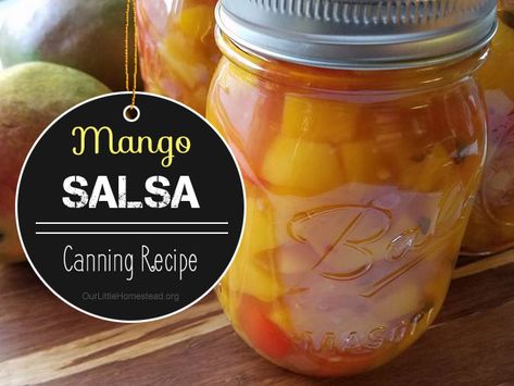 Mango Salsa For Canning, Canned Mango Salsa, Habanero Salsa Canning, Mango Preserves, Mango Salsa Canning Recipe, Tropical Salsa Recipe, Candy Syrup, Canning Instructions, Mango Habanero Salsa