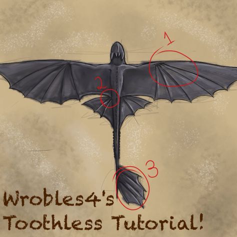 Toothless Tail, Tail Tutorial, Toothless Drawing, Dragon Anatomy, Monster Verse, Httyd Art, Toothless Dragon, Dragon Sketch, Httyd Dragons