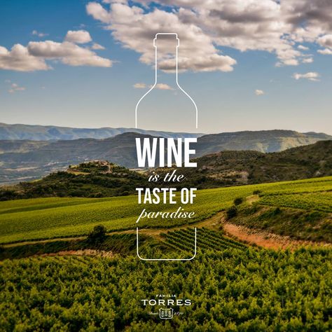 #wine is the taste of paradise Wine Campaign, Wine Ads, Wine Brochures, Wine Infographic, Wine Logo Design, Wine Bar Design, Wine Presentation, Wine Advertising, Wine Industry