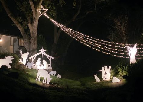 Front Yard Nativity Scene, Ways To Display Nativity Scene, Outdoor Christmas Lights Display, Outdoor Christian Christmas Decorations, Cactus Installation, Manger Scenes, Christmas Nativity Scene Diy, Outdoor Christmas Light Displays, Christmas Nativity Scene Display