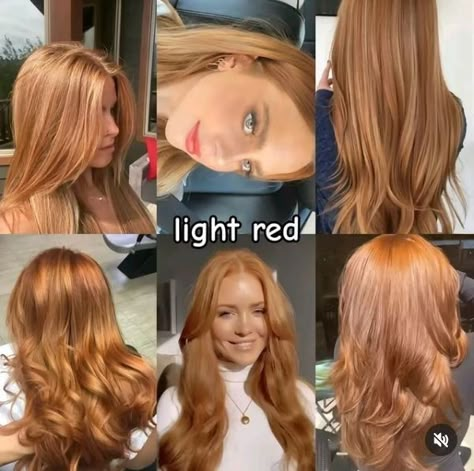 Light red Check out our hair color board for more hair color ideas and hair color inspiration comment and follow for more Red Hair Color Light, Red Light Hair Color, Clothes For Ginger Hair, Lighter Red Hair, Light Red Dyed Hair, Light Red Hair Dye, Light Ginger Blonde Hair, Light Ginger Hair, Ginger Blonde Hair