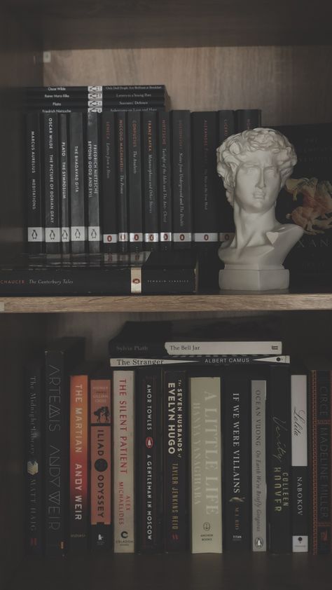 Dark Academia Vibes Books, Books Aesthetic Vintage Dark, Aesthetic Dark Academia Books, Classic Book Wallpaper, Smart Astethic, Bookshelf Styling Dark Academia, Classics Aesthetics Books, Book Shelf Dark Academia, Book Classics Aesthetic