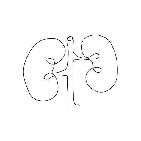 Human kidneys one line art continuous li... | Premium Vector #Freepik #vector #renal #kidney #organ #urology Kidney Transplantation Tattoo, Kidney Aesthetic, Medical Line Art, Kidney Tattoo Design, Urology Logo, Kidney Drawing, Urology Art, Kidney Tattoo, Human Internal Organs