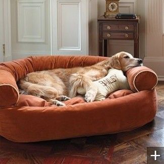 Big Dog Beds, Dog Couch Bed, Dog Couch, Pet Couches, Diy Dog Bed, Dog Sofa Bed, Comfy Couch, Dog Rooms, Dog Sofa