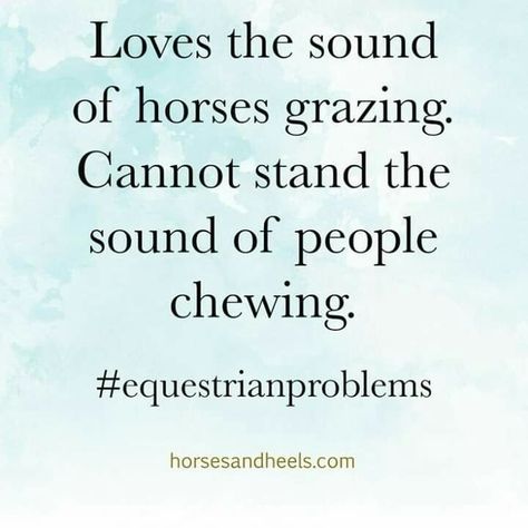 Appropriate Quotes, Equine Quotes, Horse Humor, Horse Meme, Horse Memes, Horse Training Exercises, Horse Quotes Funny, Funny Horse Pictures, Horse Jokes