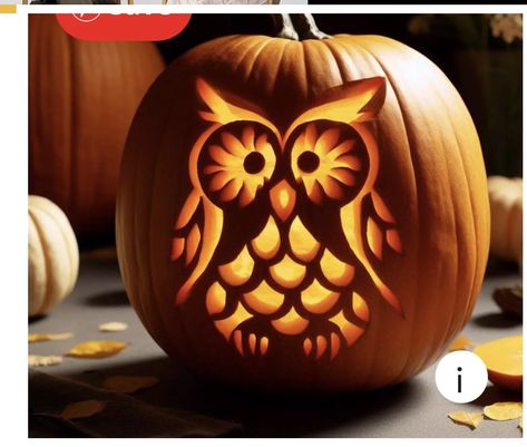 Easy Owl Pumpkin Carving, Pumpkin Carving Owl Ideas, Owl Pumpkin Carving Stencil, Thanksgiving Pumpkin Carving, Relief Pumpkin Carving, Owl Carved Pumpkin, Intricate Pumpkin Carving Stencils, Owl Pumpkin Carving, Owl Pumpkin