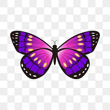 mariposa,degradado,mariposa gradiente,difundiendo mariposa,purple butterfly,mariposa fucsia,vector de mariposa,vector gradiente Blue Butterfly Png, Clipart Butterfly, Butterfly Png, Butterfly Clipart, Color Fucsia, Cartoon Clipart, Butterfly Clip Art, Cartoons Png, Clipart Cartoon