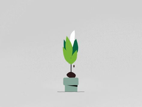 Plant by Joe Le Huquet | Dribbble | Dribbble Plant Animation Gif, Plant Motion Graphic, Animated Plants, Plant Animation, Flower Animation, Plant App, Plants Illustration, Plant Logos, Dealing With Difficult People