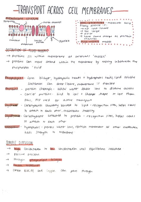 How To Pass Microbiology, Alevel Biology, Nursing School Studying Cheat Sheets, Biochemistry Notes, Biology College, Biology Revision, Nursing School Essential, Study Biology, Biology Classroom