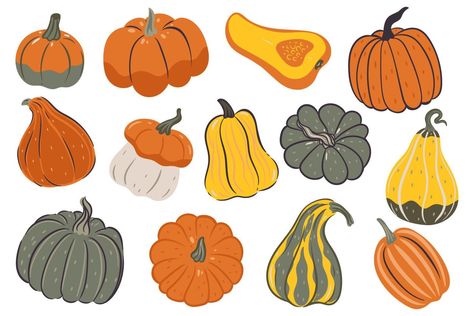 Shapes And Colors, Different Shapes, Halloween Ideas, Vector Graphics, Pumpkins, Vector Art, Illustration Design, White Background, Vector Free