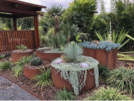 Metal Garden Edging, Steel Garden Edging, Australian Garden Design, Steel Edging, Rusty Garden, Australian Native Garden, Front Garden Design, Australian Garden, Native Garden