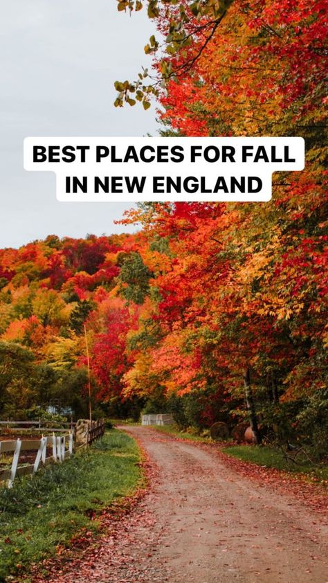 Yellowstone Itinerary, Fall In New England, Fall Foliage Road Trips, New England Road Trip, Fall Road Trip, Fall Vacations, Leaf Peeping, New England Travel, New England Fall