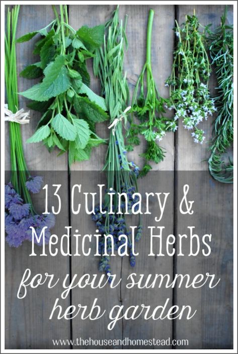 Herbs have a long history of being used for both culinary and medicinal purposes. They truly are the reason for the famous quote, "let thy food be thy medicine, and thy medicine be thy food." Here are 13 must-have culinary and medicinal herbs for your home herb garden. #herbalremedies #medicinalherbs #culinaryherbs #herbgarden Herbs To Grow At Home, Medicinal Herbs To Grow, Home Herb Garden, Medicinal Herbs Garden, Homestead House, Garden Herbs, Herb Garden Design, Culinary Herbs, Long History