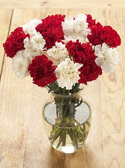 LOVE red and white carnations :) Red Carnation Centerpiece, White Carnation Bouquet, Red And White Carnation Centerpieces, Red And White Carnations, Mums Tattoo, Carnation Wedding Bouquet, Wedding Bouquets Red, Red Carnation Flower, Carnation Centerpieces