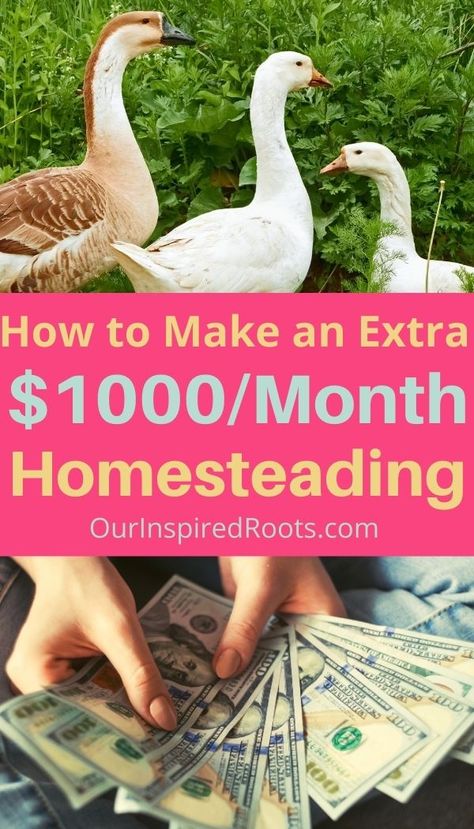 Want to have your homestead pay for itself? Most of these ideas for making money from the homestead work for any size homestead (even an apartment!), so check them out and find one or a few you can try today to increase your income. #makemoney #homesteading Modern Homestead, Raising Farm Animals, Modern Homesteading, Homesteading Ideas, Homestead Ideas, Ways To Make Extra Money, Homestead Gardens, Homesteading Skills, Urban Homesteading