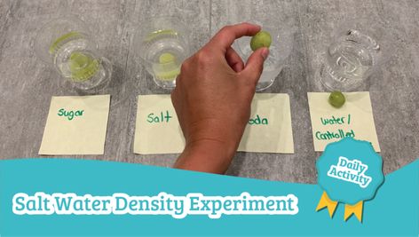 Using salt and a variety of objects, kids will learn about how items are more or less dense. This can be used as an extention to a sing or float activity. Salt Water Density Experiment, Water Density Experiment, Density Experiment, Draw Water, Easy Science Experiments, Daycare Activities, Easy Science, Science Experiment, Gross Motor