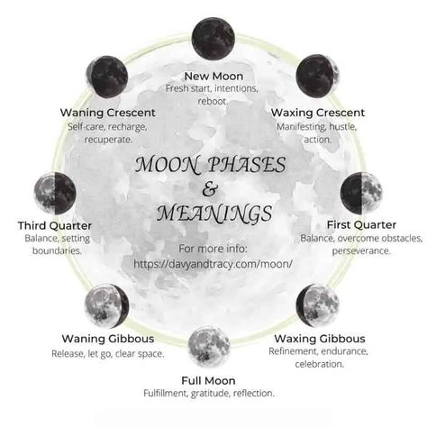 Moon Phases Meaning, Moon Stages, Phase Of The Moon, Moon Meaning, Body Reset, Next Full Moon, Moon Spells, Moon Reading, New Moon Rituals