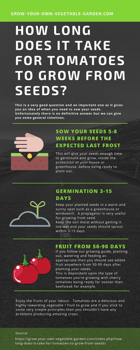 How long does it take for tomatoes to grow from seeds?  Our 'Growing Tomatoes' piece answers this & other questions. #howlongdoesittakefortomatoestogrowfromseed #howlongdotomatoestaketogrow #howlongdoesittakefortomatoestogrow #howlongdoesittaketogrowtomatoes #howtogrowcherrytomatoes How To Grow Cherries, Salad Garden, Growing Vegetables At Home, How To Grow Tomatoes, Growing Vegetables In Pots, Growing Tomatoes In Containers, Grow Tomatoes, Vegetable Plants, Container Vegetables