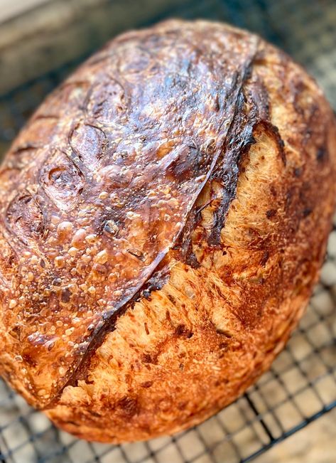 Caramelized Onion Sourdough Bread - Onion Sourdough Bread, Recipe Using Sourdough Starter, Sourdough Cinnamon Rolls, Natural Yeast, Baking For Beginners, Onion Bread, Homemade Bread Easy, Breaking Bread, Artisan Bread Recipes