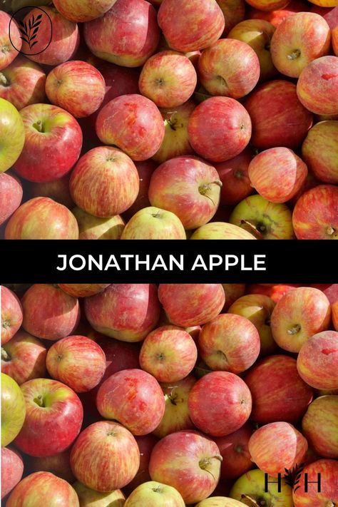 jonathan apple via @home4theharvest Jonathan Apples, Apple Tree Care, Apple Crisp Pie, Gourmet Apples, Apple Varieties, Apple Chips, Fall Apples, Tree Care, Harvest Season