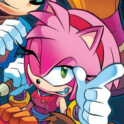 Sonic Boom Amy, Amy Rose Hedgehog, Amy The Hedgehog, Sonic And Amy, Blue Hedgehog, Sonic Franchise, Rose Pictures, Cartoon Profile Pictures, Best Icons