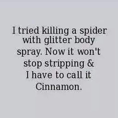 Cinnamon is the perfect name for a spider!! Laughter Therapy, You Make Me Laugh, Quotes Of The Day, Belly Laughs, Can't Stop Laughing, Twisted Humor, Sarcastic Quotes, Short Quotes, Funny Signs