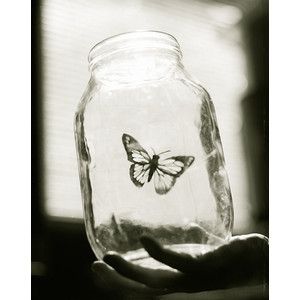 such a parallel to how i've felt most of my life. just ready to show the world what i got, but held back by that clear jar with no lid. Butterfly In A Jar, Jar Aesthetic, Jar Drawing, Black Architecture, Biblical Quotes Inspirational, Jar Art, Skateboard Design, Beautiful Disaster, Set Me Free