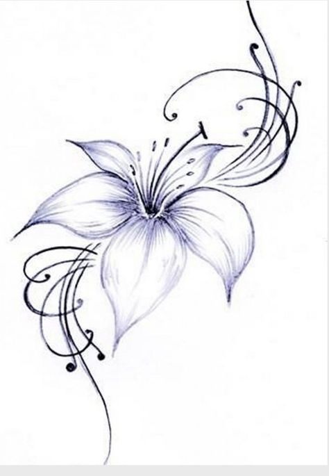 Fiori Frangipani, Lillies Tattoo, Lily Tattoo Design, Lily Flower Tattoos, Hibiscus Tattoo, Butterfly Tattoos, Lily Tattoo, Tattoo Art Drawings, Elegant Tattoos