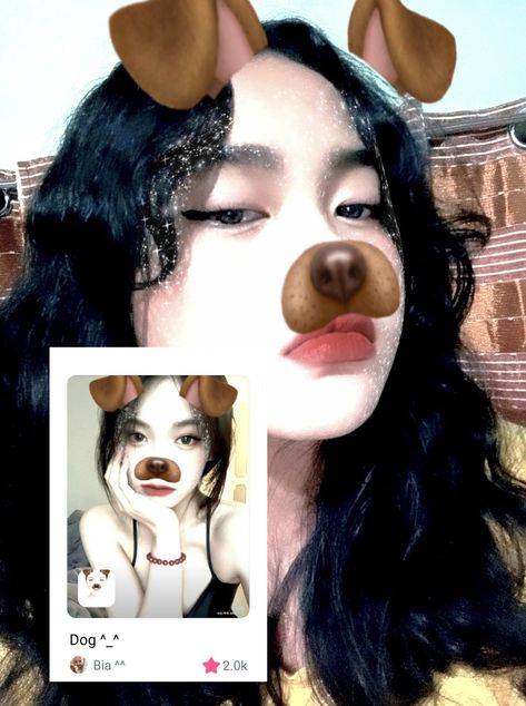 Dog Filter Instagram, Insta Filters Face, Snow Filter Ideas, Snow Filter Aesthetic, Snow Filt, Snow App Filters, Snow Filters, Filter Snow, Snow Filter