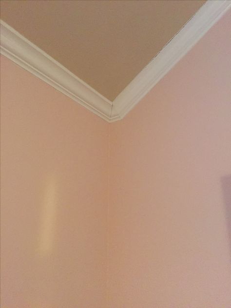 Blush walls Behr Life is a peach in flat Blush Walls, Peach Walls, Wall Colour, Keeping Room, Chalkboard Wall, Colour Ideas, Peachy Pink, Wall Paint, Wall Colors