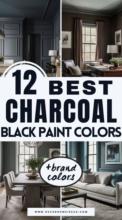 Charcoal Black Paint, Black Paint Colors, Charcoal Paint, Black Paint Color, Best Charcoal, William Black, Farrow And Ball Paint, Behr Paint, Paint Colors Benjamin Moore