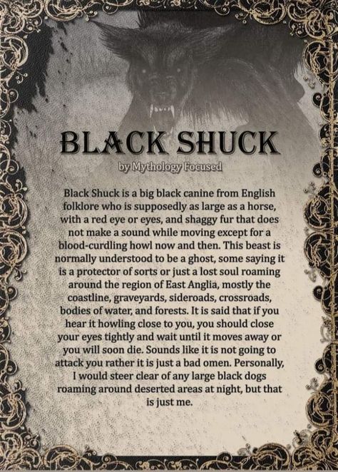 Supernatural Creatures List, Mystical Creatures Mythology, Black Shuck, Myths & Monsters, Monster Legends, Witch Spirituality, Magic Spell Book, Legends And Myths, Celtic Mythology