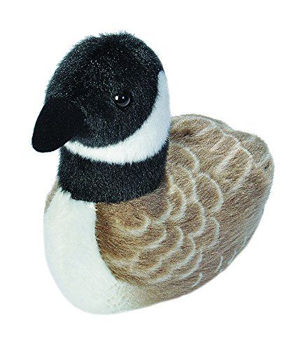 Stuffed Animal Displays, Goose Plush, Audubon Birds, Bird Calls, Ruby Throated Hummingbird, Bird Watcher, Kawaii Plushies, All Birds, Baby Chicks