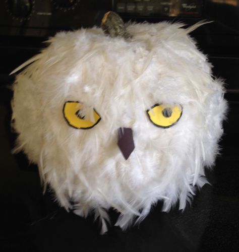 Pumpkin Ideas Harry Potter, Hedwig Pumpkin, Hedwig Painted Pumpkin, Diy Hedwig Owl, Owl Diaries Pumpkin, Book Character Pumpkins For Kids, Storybook Pumpkin Ideas, Hedwig Harry Potter Owl, White Pumpkin Owl