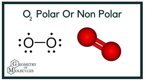 O2 is a chemical formula for Oxygen gas. To determine the polarity of this molecule, we first need to know its Lewis Structure. Looking at the arrangement of atoms in the structure and checking the net dipole moment can help us understand whether this molecule is polar or nonpolar. Watch this video to learn the step-by-step process of determining the O2 polarity. #OxygenPolarity​​​​ #Oxygen #O2 #GeometryOfMolecules​ Lewis Structure, General Chemistry, Ap Chemistry, Chemical Formula, Molecular Biology, The Net, Atom, Biology, Chemistry