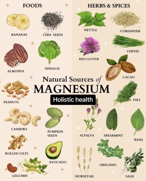 Sources Of Magnesium, Magnesium Foods, Foods High In Magnesium, Magnesium Rich Foods, Herbal Healing, Herbs For Health, Holistic Nutrition, Natural Health Remedies, Healing Herbs