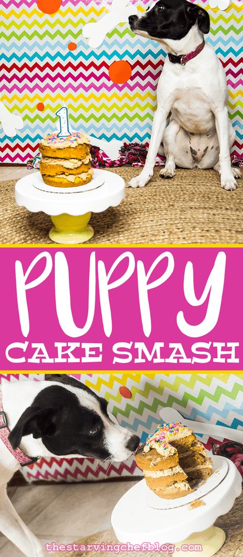 Dog Smash Cake First Birthdays, Puppy First Birthday, Pup Birthday, Dog's Birthday, Dog First Birthday, Puppy Birthday Parties, Puppy Cake, Happy First Birthday, Dog Cakes