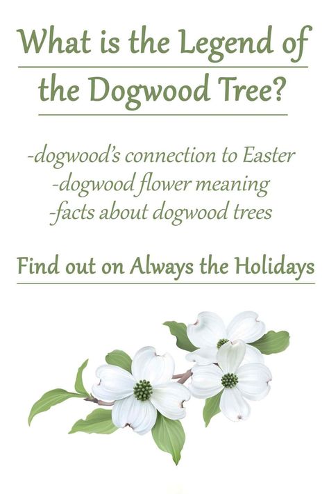 Meaning Of Jasmine Flower, Dogwood Flower Meaning, Fairy Messages, Legend Of The Dogwood Tree, Tree Facts, Short Trees, Inspirational Paintings, Dogwood Blooms, Tree Story