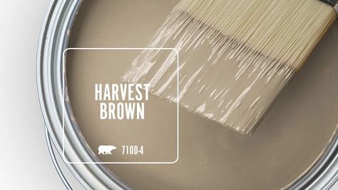 HARVEST BROWN 710D-4 | Behr Paint Colours Behr Rugged Tan, Behr Basketry Paint, Harvest Brown Paint Behr, Behr Dry Brown, Behr Wheat Bread Paint, Behr Colors, Semi Gloss Paint, Behr Paint Colors, Behr Paint