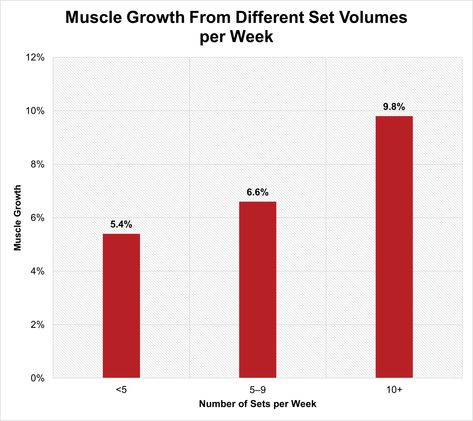 How Many Exercises Should You Do per Muscle Group? (Guide) – StrengthLog Major Muscle Groups, Transversus Abdominis, Lying Leg Curls, Standing Calf Raise, Dumbbell Fly, Tricep Pushdown, Biceps Brachii, Calf Exercises, Hamstring Workout