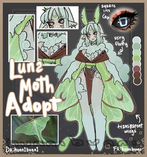 Moth Art, Luna Moth, Fantasy Creatures Art, Monster Design, Creature Concept Art, Character Sheet, Discord Server, Character Design References, Character Designs