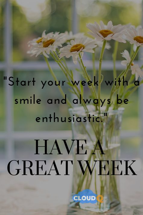 Happy Start Of The Week, Quotes To Start The Week, Happy New Week Quotes, Have A Good Week, Have A Great Week, New Week Motivation, New Week Quotes, Good Morning Animals, Good Morning Motivation