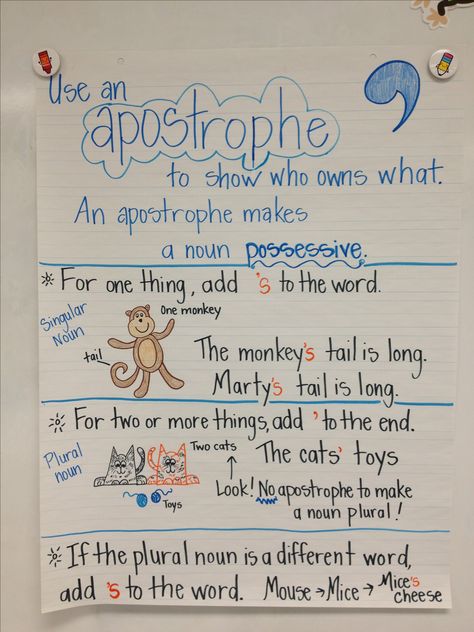 Possessive nouns anchor chart, great intro piece to a grammar lesson on apostrophes.  www.teachthis.com.au Possessive Nouns Anchor Chart, Nouns Anchor Chart, Possessive Noun, Grammar Anchor Charts, Ela Anchor Charts, Grammar Chart, Singular And Plural Nouns, Phonics Flashcards, Possessive Nouns