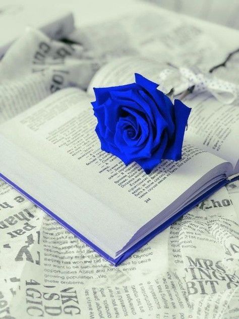 Cute Wallpapers For Android, Blue Roses Wallpaper, Blue Flower Wallpaper, Purple Flowers Wallpaper, Color Splash Photography, Romantic Wallpaper, Roses Wallpaper, Wallpaper Disney, Book Flowers